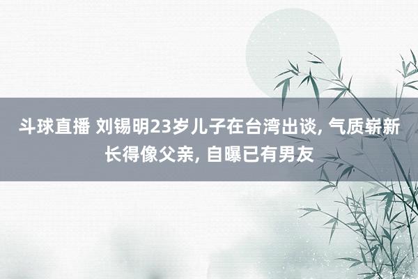 斗球直播 刘锡明23岁儿子在台湾出谈, 气质崭新长得像父亲, 自曝已有男友
