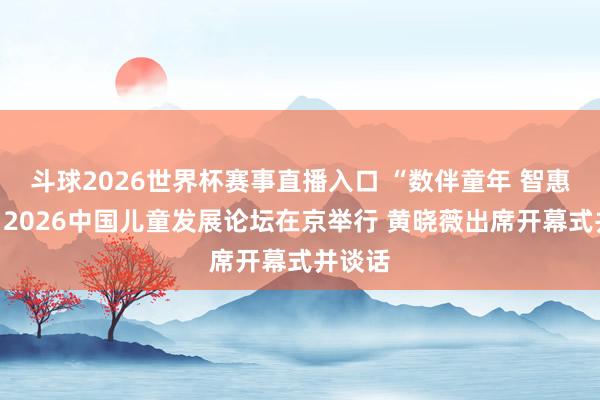 斗球2026世界杯赛事直播入口 “数伴童年 智惠成长”2026中国儿童发展论坛在京举行 黄晓薇出席开幕式并谈话