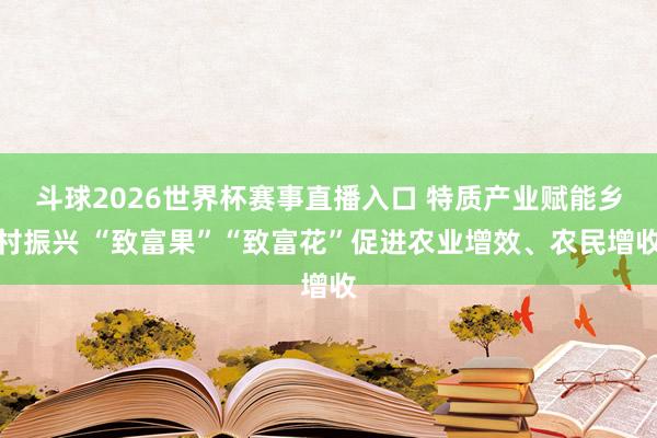 斗球2026世界杯赛事直播入口 特质产业赋能乡村振兴 “致富果”“致富花”促进农业增效、农民增收