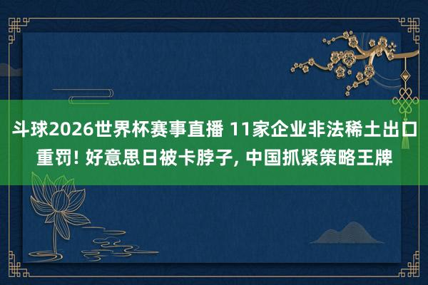 斗球2026世界杯赛事直播 11家企业非法稀土出口重罚! 好意思日被卡脖子, 中国抓紧策略王牌