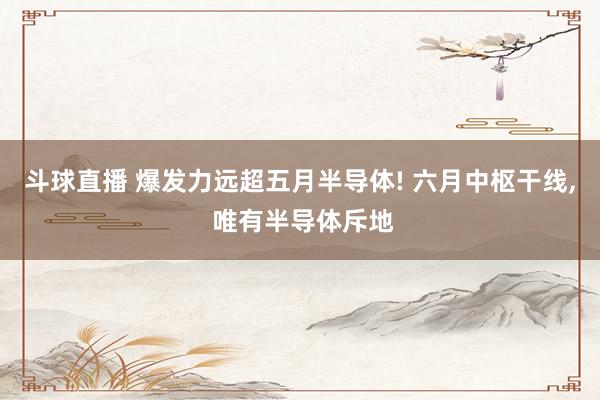 斗球直播 爆发力远超五月半导体! 六月中枢干线, 唯有半导体斥地
