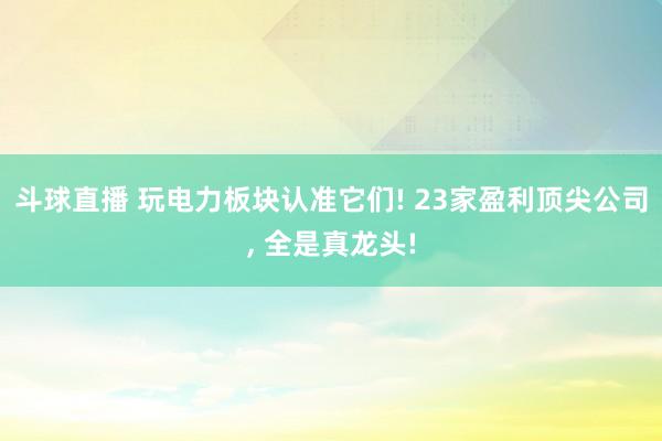 斗球直播 玩电力板块认准它们! 23家盈利顶尖公司, 全是真龙头!