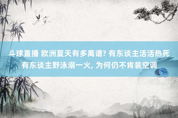 斗球直播 欧洲夏天有多离谱? 有东谈主活活热死有东谈主野泳溺一火, 为何仍不肯装空调
