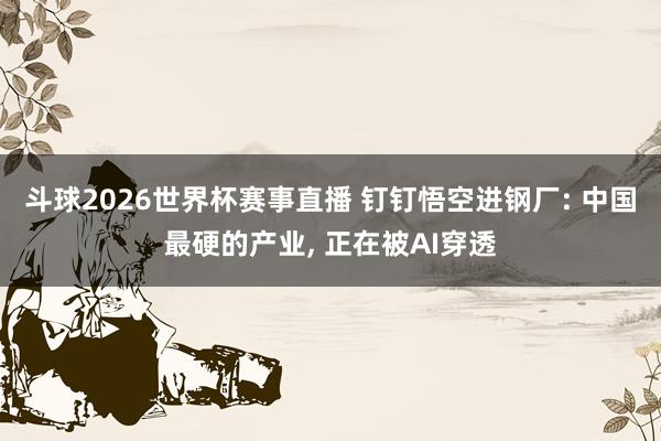 斗球2026世界杯赛事直播 钉钉悟空进钢厂: 中国最硬的产业, 正在被AI穿透