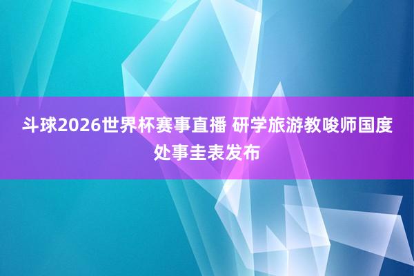 斗球2026世界杯赛事直播 研学旅游教唆师国度处事圭表发布