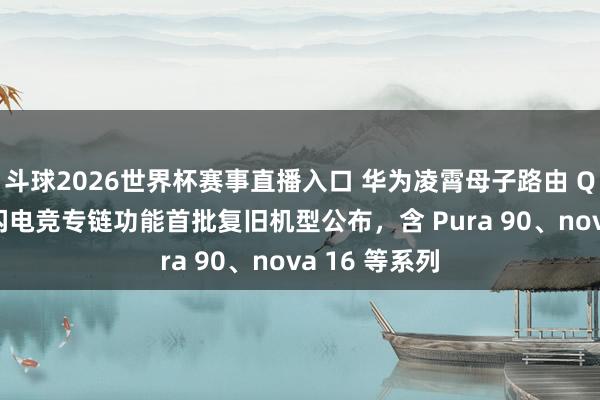 斗球2026世界杯赛事直播入口 华为凌霄母子路由 Q7 电线