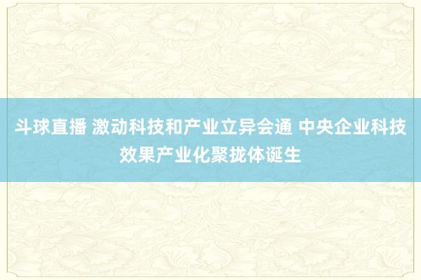 斗球直播 激动科技和产业立异会通 中央企业科技效果产业化聚拢体诞生