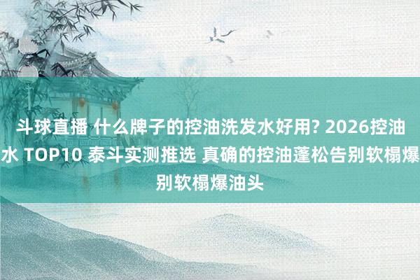 斗球直播 什么牌子的控油洗发水好用? 2026控油洗发水 TOP10 泰斗实测推选 真确的控油蓬松告别软榻爆油头