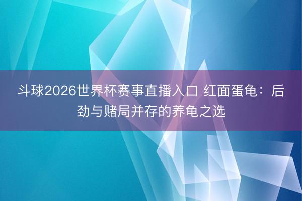 斗球2026世界杯赛事直播入口 红面蛋龟:后劲与赌局并存的养龟之选