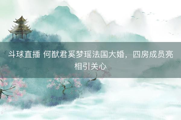 斗球直播 何猷君奚梦瑶法国大婚，四房成员亮相引关心