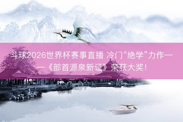 斗球2026世界杯赛事直播 冷门“绝学”力作——《部首源泉新证》荣获大奖！