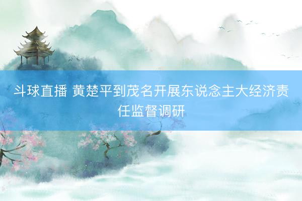 斗球直播 黄楚平到茂名开展东说念主大经济责任监督调研